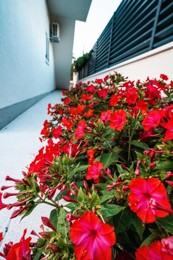 Villa Margita スプリト エクステリア 写真