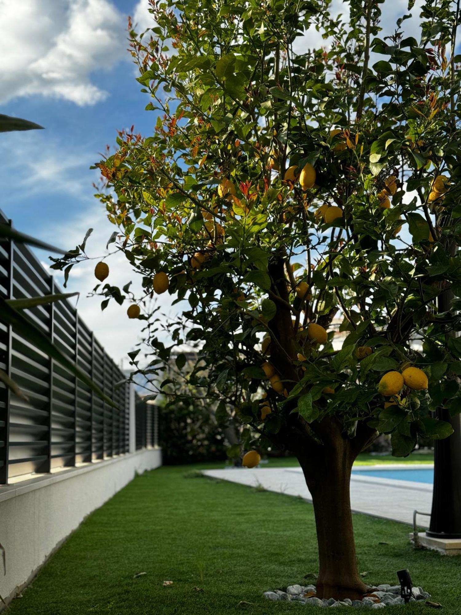 Villa Margita スプリト エクステリア 写真
